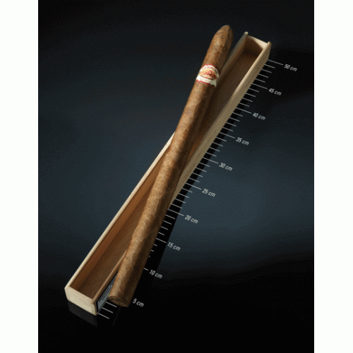 Сигара La Aurora Stravaganza/1 (шт.)